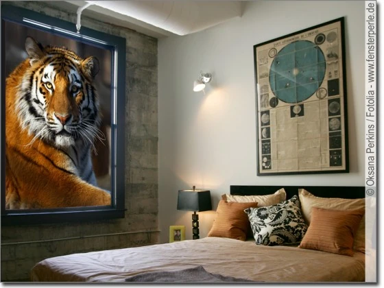 Blickdichte Fotofolie Wilder Tiger - Selbstklebende Folie mit indischem Tiger auf Wunschmaß