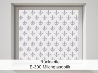 Rückseite