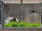 Preview: Fensterfolie Grasmotiv für Schaufenster