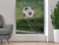 Preview: Transparente Fotofolie Glasbild Fußballtor