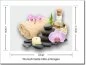 Preview: Bedruckte Milchglasfolie Spa Steine mit Orchidee