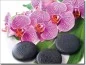 Mobile Preview: selbstklebendes Glasbild mit pinkfarbener Orchidee