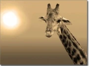 Preview: Foliendruck Giraffe sepia