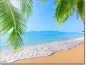 Preview: Folie für Fenster Karibischer Strand