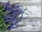 Preview: Glasbild Vintage Lavendel