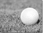 Preview: Fotofolie Fensterbild Golf schwarz-weiß