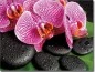 Preview: selbstklebendes Fensterbild mit Wellnessmotiv Orchidee und Steine