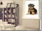 Preview: Blickdichte Fotofolie mit Yorkshire Terrier Baby