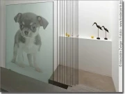 Preview: Transparente Fotofolie für Glas Chihuahua Baby