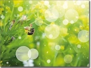 Preview: Fensterbild Biene farbig - Selbstklebende Fotofolie