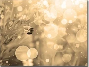 Preview: Fensterbild Biene sepia - Selbstklebende Fotofolie