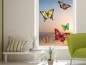 Preview: Glasfolie Schmetterlinge Set auf Fenster