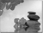 Preview: Glasfoto mit Orchideenblüte  sw