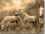 Preview: Fensterbild Wilde Pferde sepia
