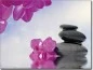 Preview: Glasfoto mit Orchideenblüte als Sichtschutz