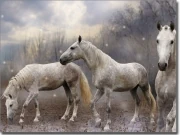 Preview: Fensterbild Wilde Pferde farbig