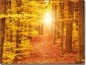 Preview: Glasbild Herbstwald