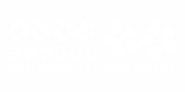 Preview: Fenstertattoo Set Blumen Preview: Fenstertattoo Set Blumen