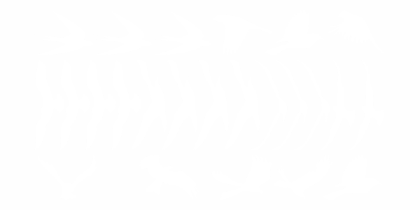 Preview: Aufkleber Vogelschutz Preview: Aufkleber Vogelschutz