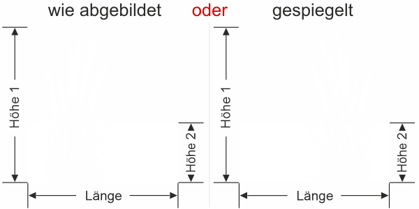 Sichtschutz Fensterfolie Pampasgrasmotiv
