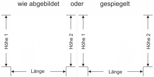 Sichtschutzfolie Kolbenschilf