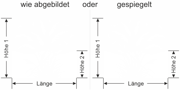Sichtschutzfolie Pampasgras mit Vogelschwarm