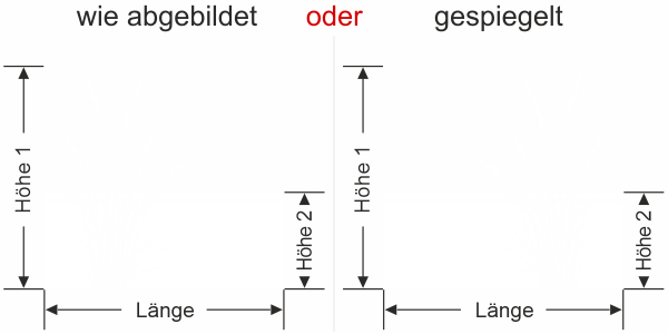 Fensterfolie Schlankes Ziergrasmotiv
