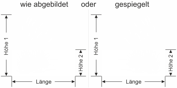 Fensterfolie Schilfgras am Uferrand