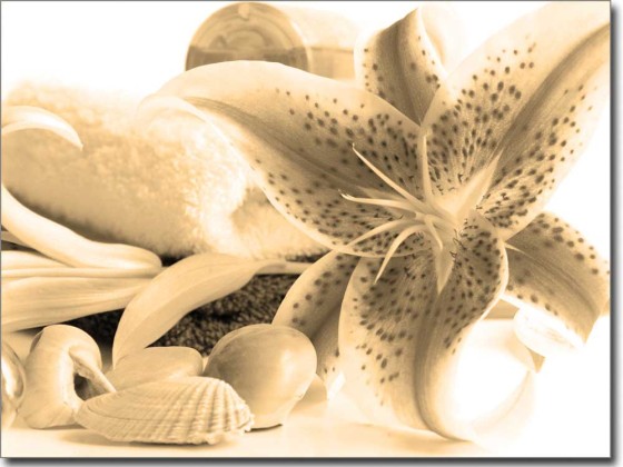 Preview: Glasbild Pink Lilie