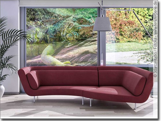 Preview: Transparentes Glasbild Chamäleon - Fotofolie für Glas