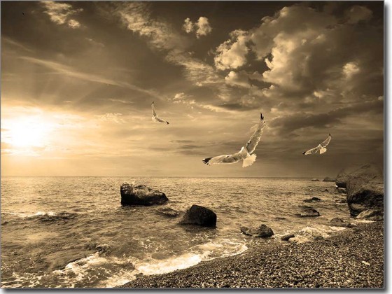 Preview: Glasbild Nordsee