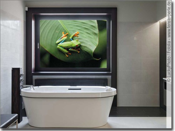 Preview: Fensterbild Grüner Frosch