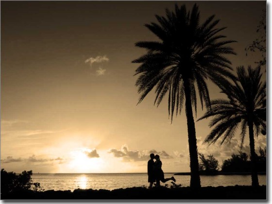 Preview: Glasbild Palmen Romantik