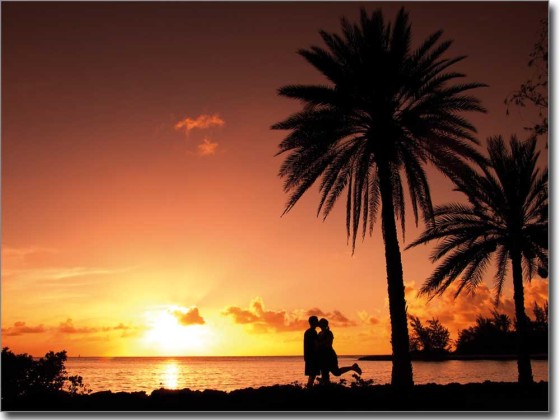 Preview: Glasbild Palmen Romantik