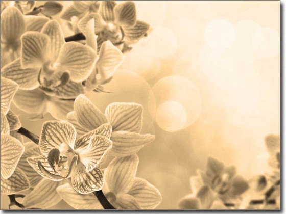 Preview: Glasbild Pink Orchidee Preview: Glasbild Pink Orchidee
