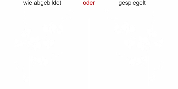 Glasfolie Orchidee - Ansicht Ausrichtung und Farbauswahl
