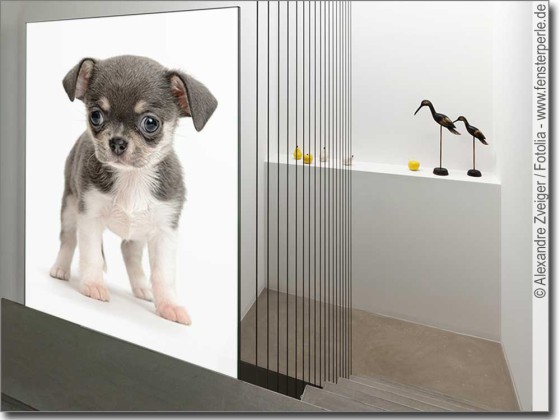 Preview: Fotofolie für Glas Chihuahua Baby Preview: Fotofolie für Glas Chihuahua Baby