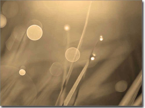 Preview: Fotofolie Sommertau