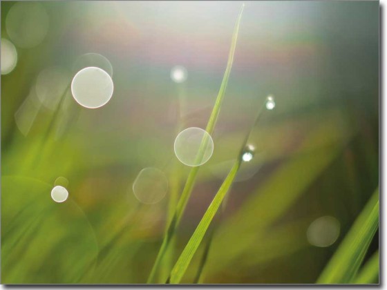 Preview: Fotofolie Sommertau