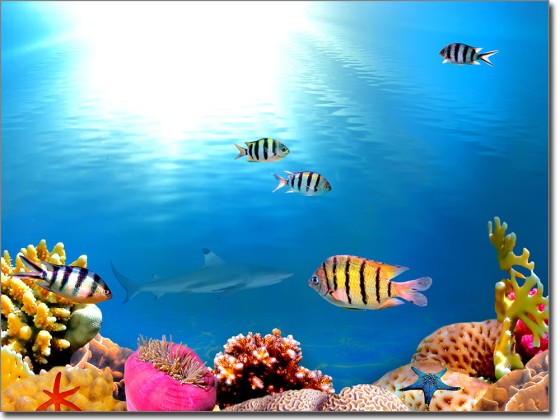 Preview: Fensterfolie Wasserwelt