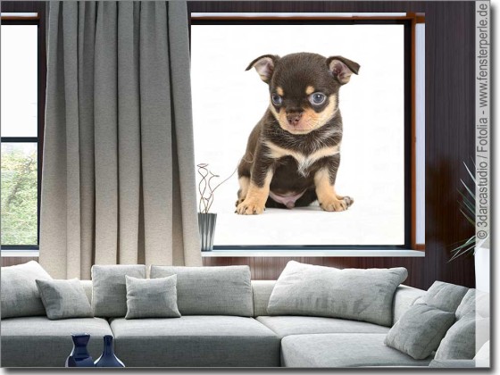 Preview: Fotofolie für Glas Hundebaby