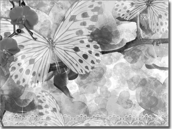 Preview: Fensterfoto Schmetterling Preview: Fensterfoto Schmetterling