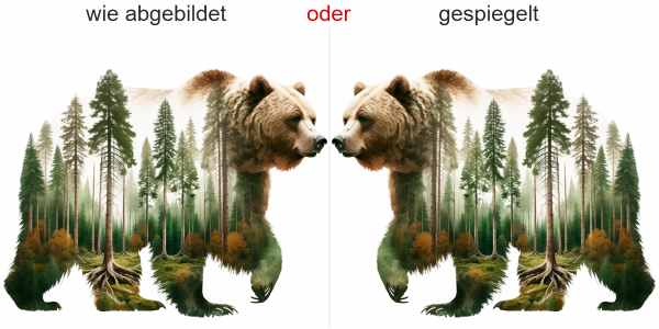 Preview: Fenstersticker Bären-Kontur mit Mystischem Wald Preview: Fenstersticker Bären-Kontur mit Mystischem Wald