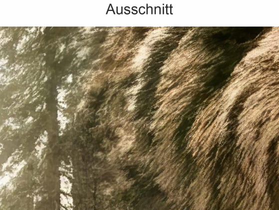 Preview: Fenstersticker Bären-Kontur mit Mystischem Wald Preview: Fenstersticker Bären-Kontur mit Mystischem Wald