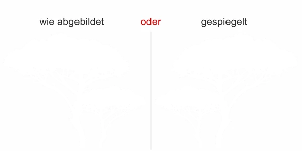 Fenstertattoo Savannenbaum - Ansicht Ausrichtung und Farbauswahl