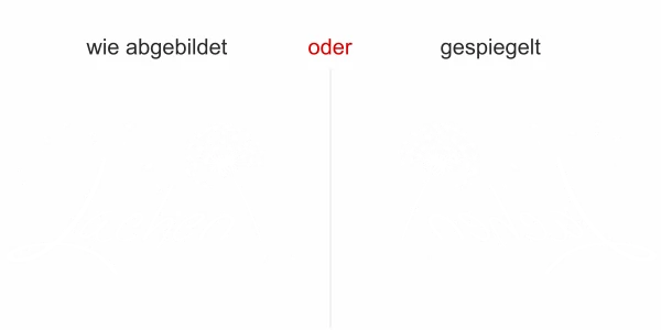 Fenstertattoo Wer den Tag mit einem Lachen beginnt - Ansicht Farbauswahl