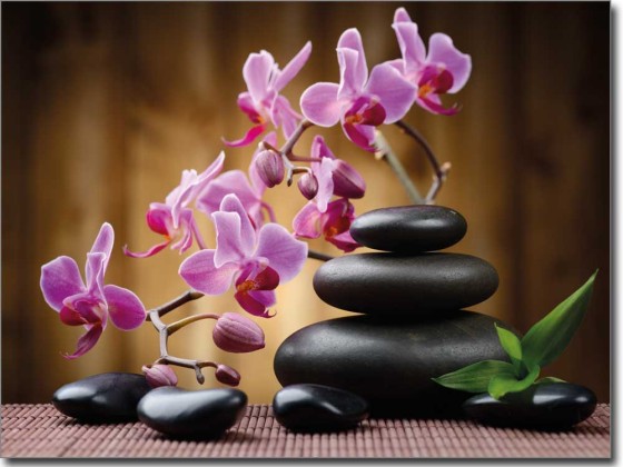 Preview: Orchidee zum Wohlfühlen