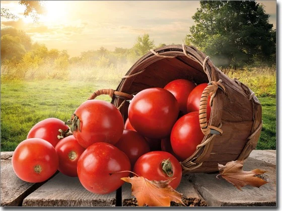 Fensterbild Tomaten