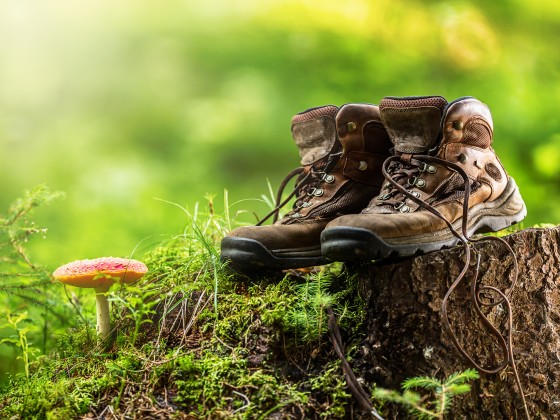 Preview: Fotofolie Wanderschuhe Preview: Fotofolie Wanderschuhe