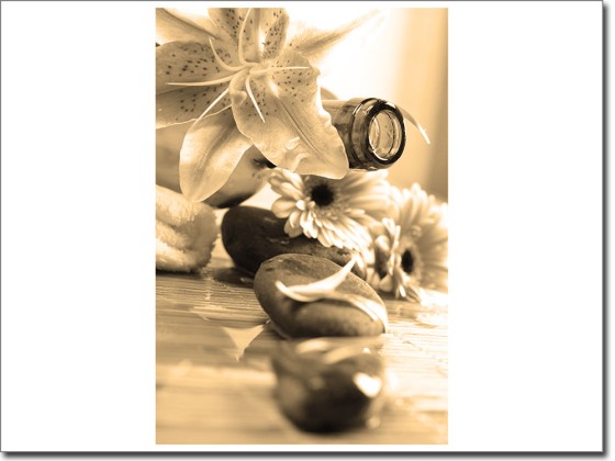 Preview: Fotofolie mit Lilie